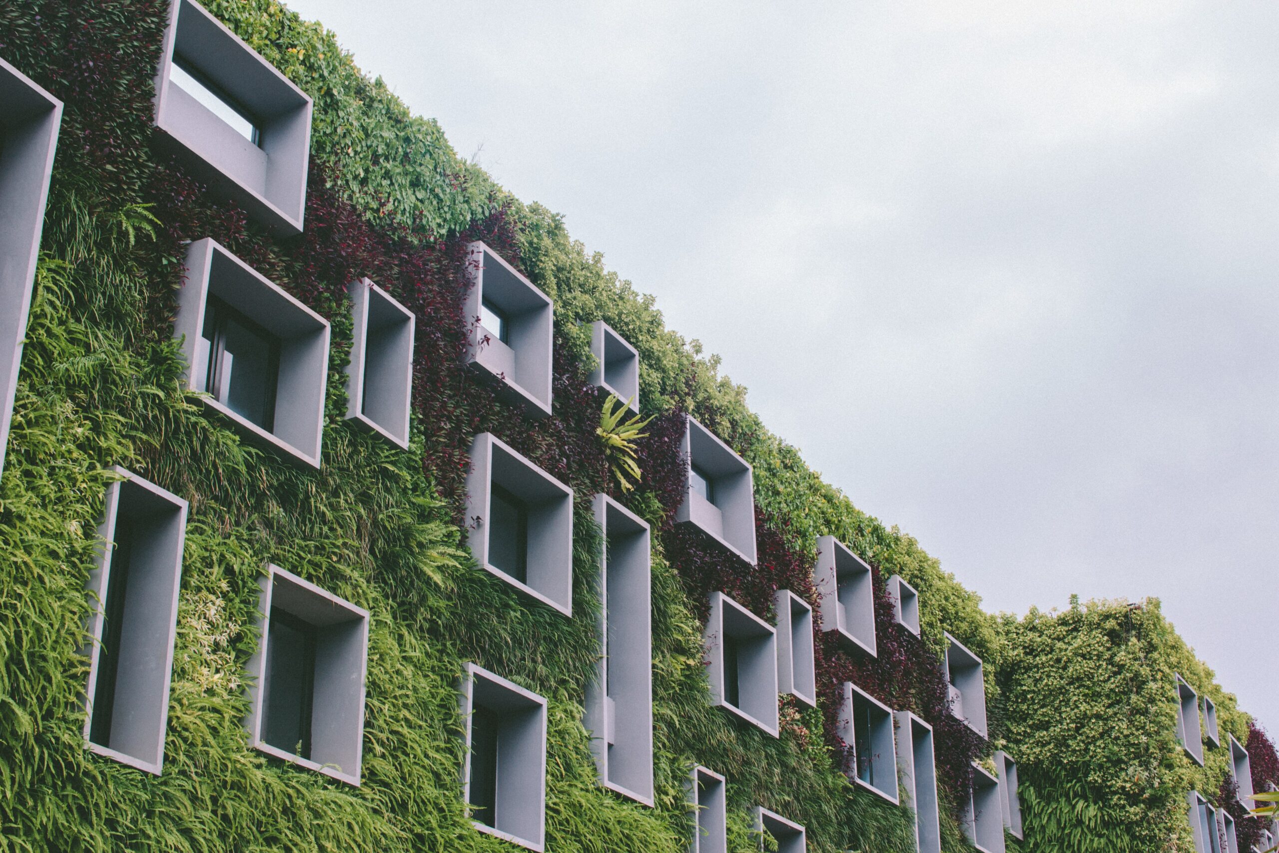 Immobilier durable : pourquoi privilégier l’achat d’un logement écologique neuf ?