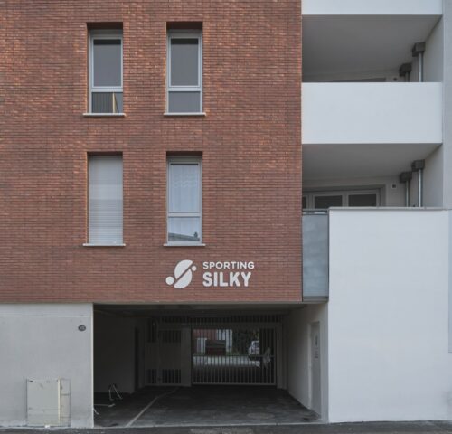 Sporting Silky